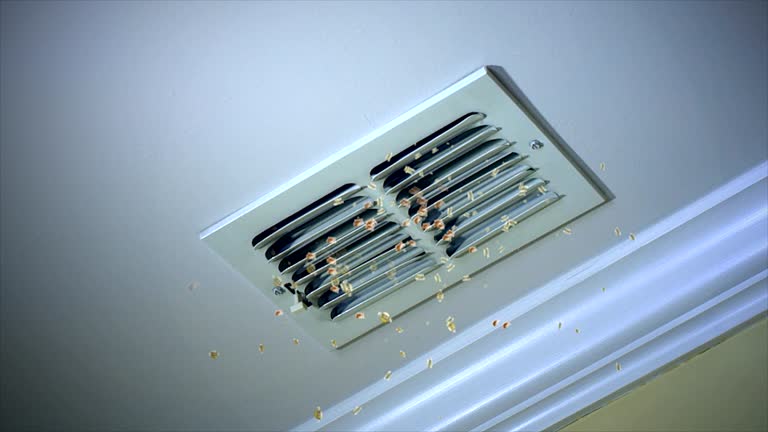 Professional Airduct Cleaning in LA